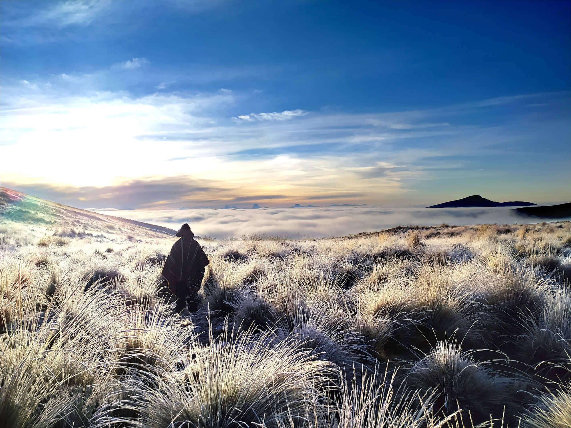 Peruvian man in poncho and hat walking through plain in Andes