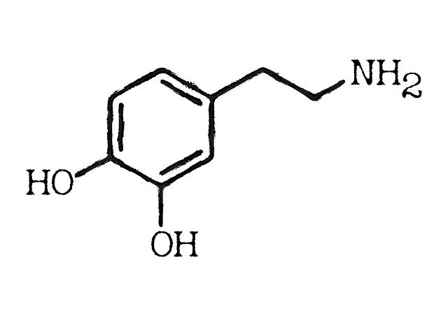 Dopamine - shop themacateam.com. 