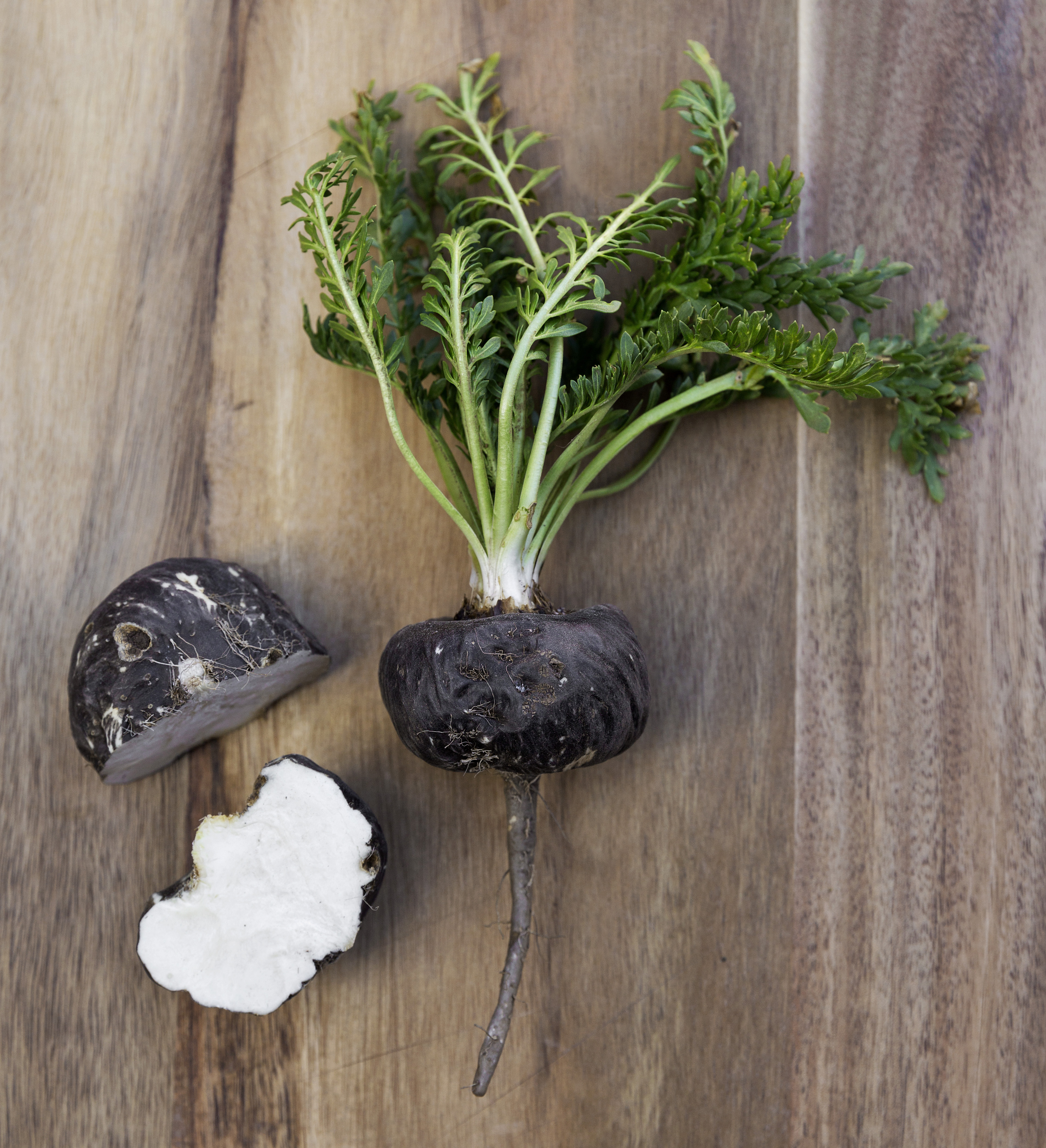 Fresh black maca root - Shop TheMacaTeam.com. 