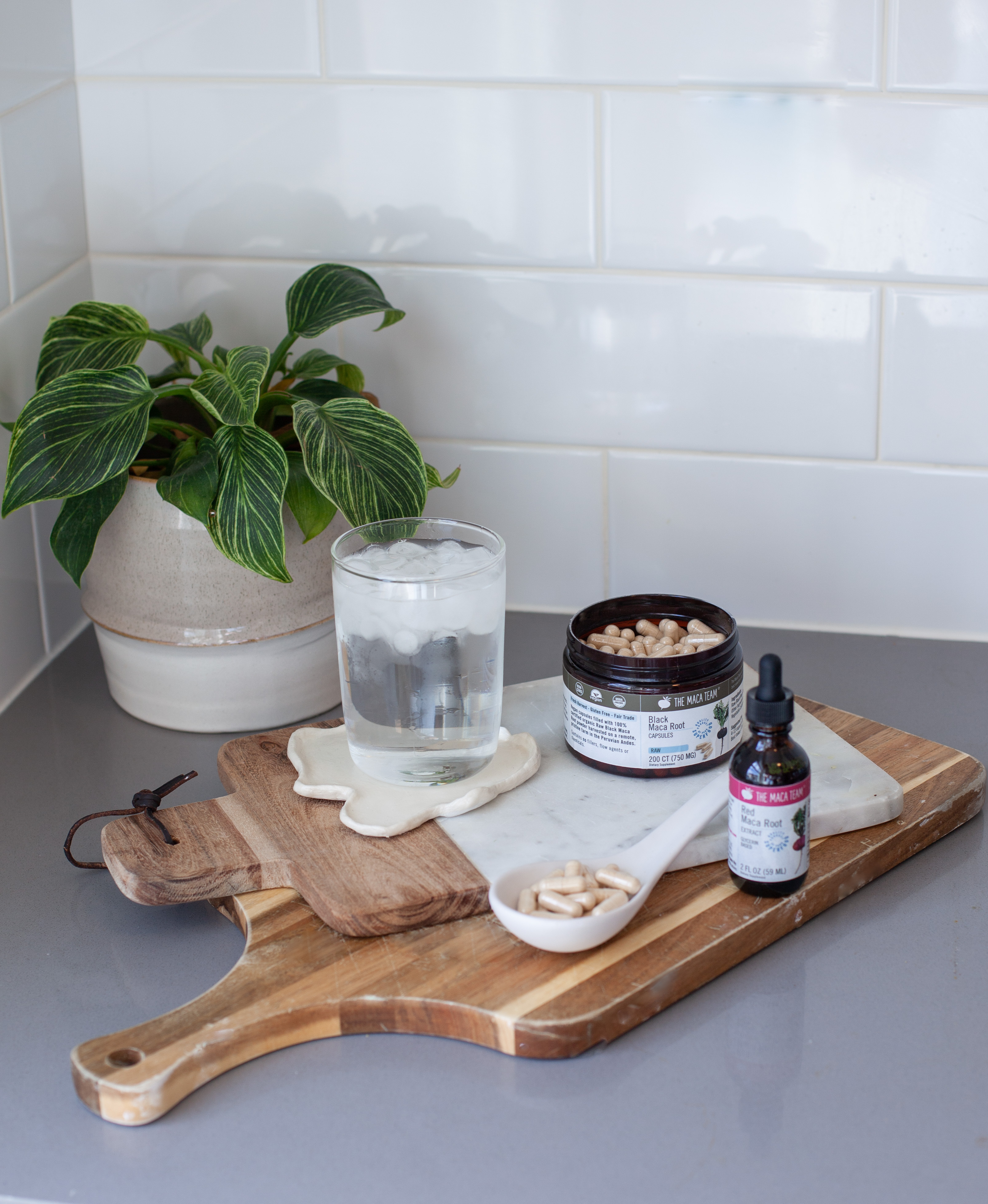 Maca and medication interactions - Shop TheMacaTeam.com.