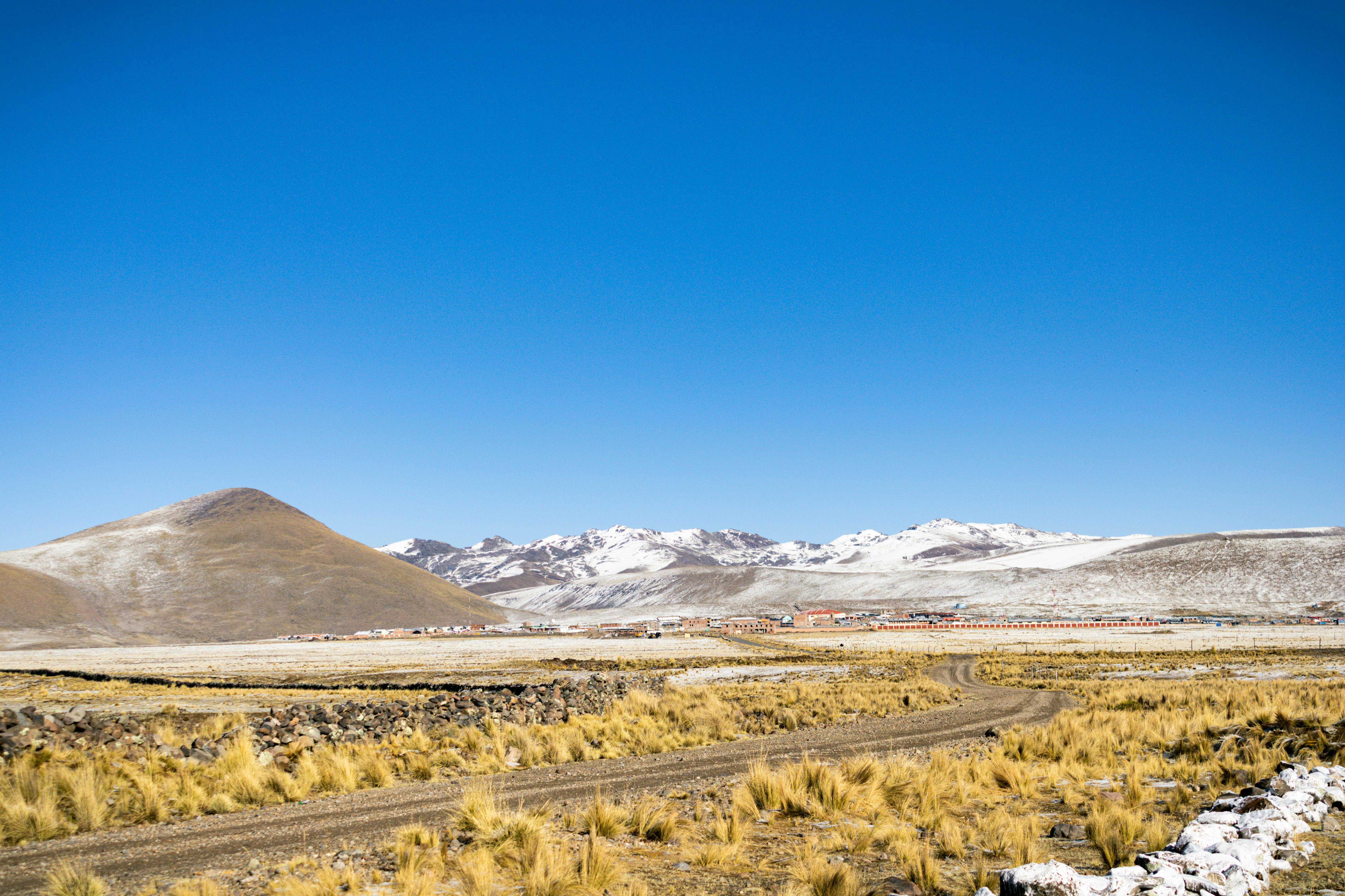 Peruvian maca - Shop TheMacaTeam.com.