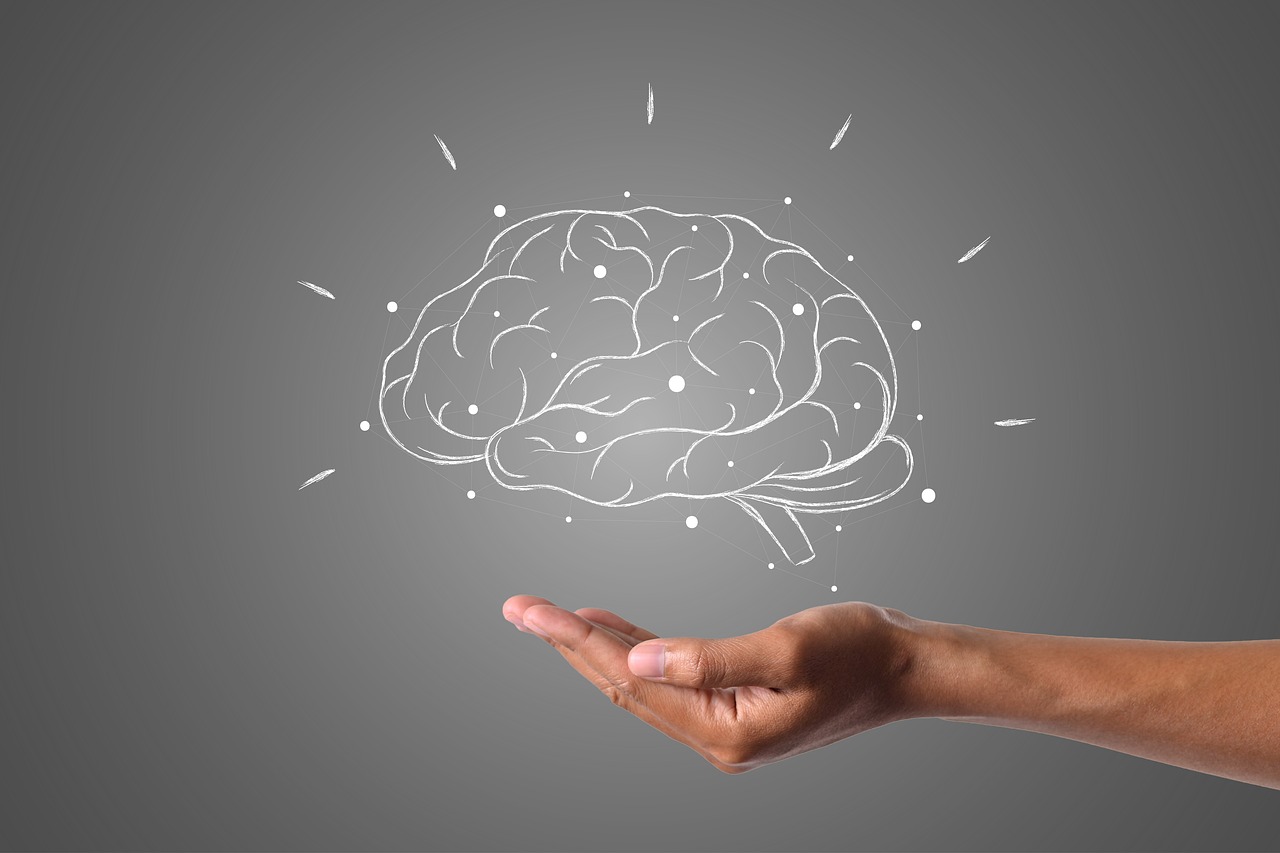 Maca for your brain - Shop TheMacaTeam.com. 