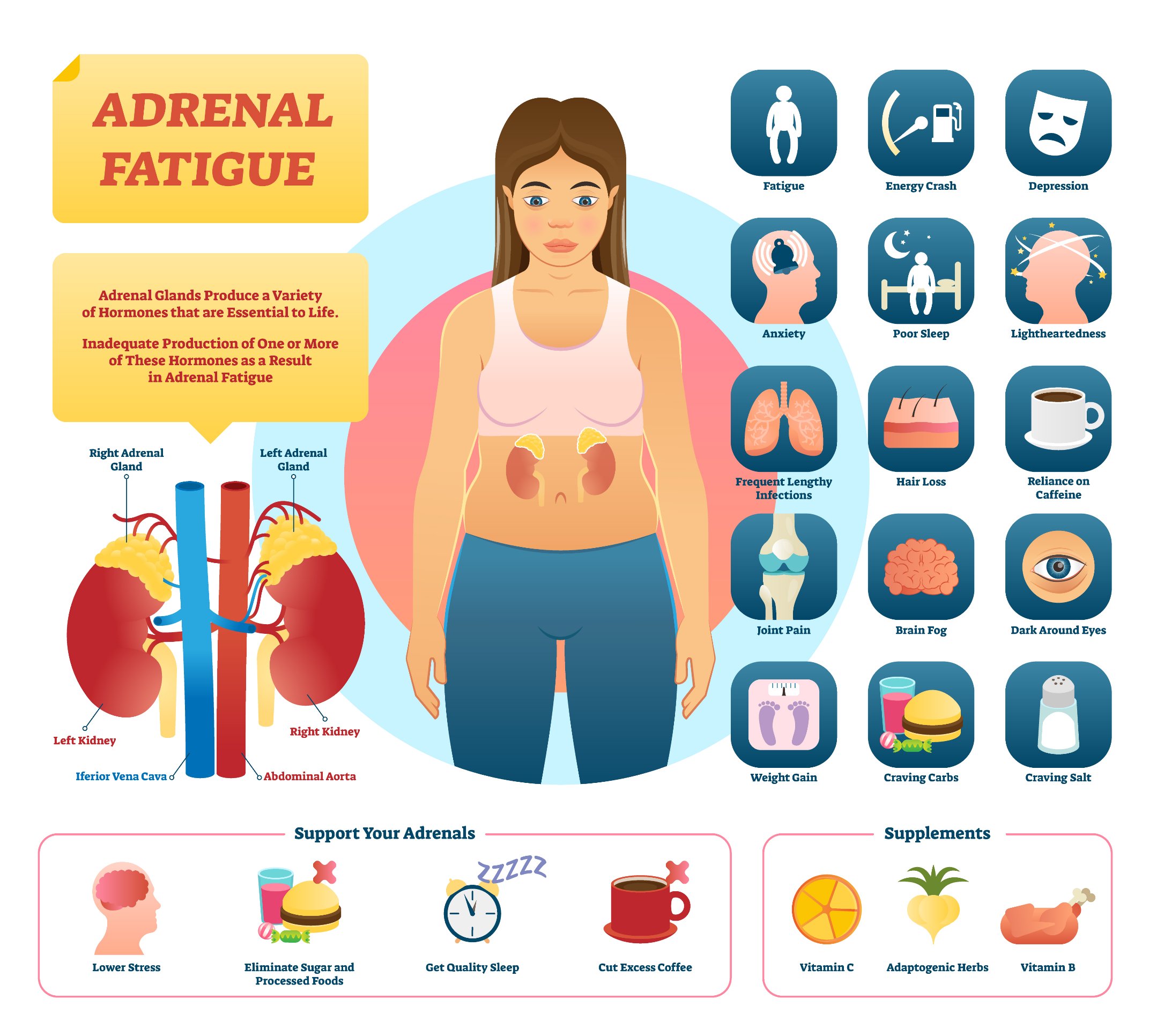 maca-root-adrenal-health-themacateam.com - shop themacateam.com.