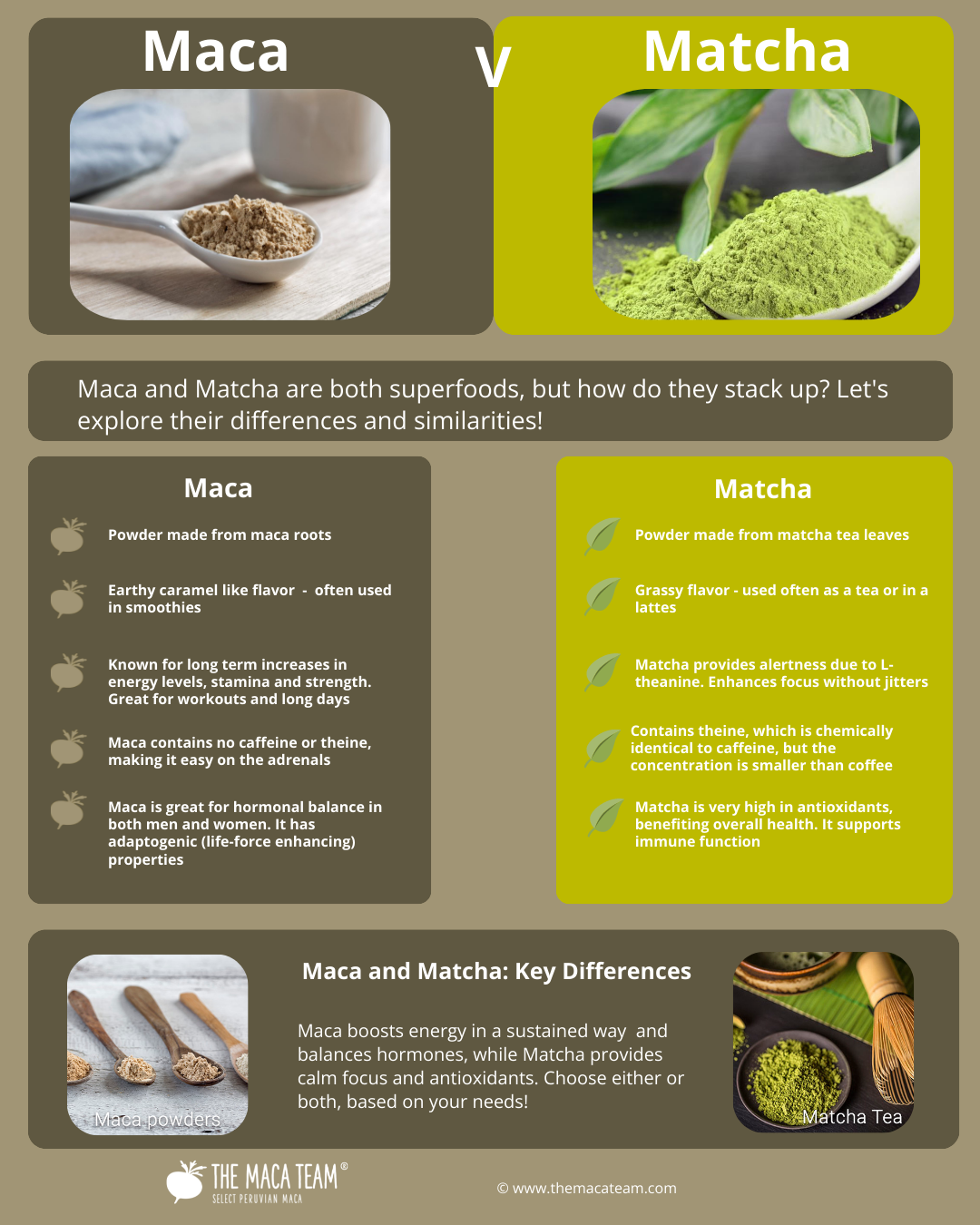 maca vs matcha - themacateam.com
