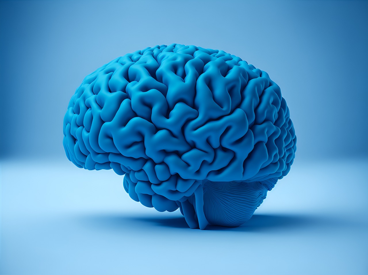 Maca for Memory - Shop TheMacaTeam.com. 