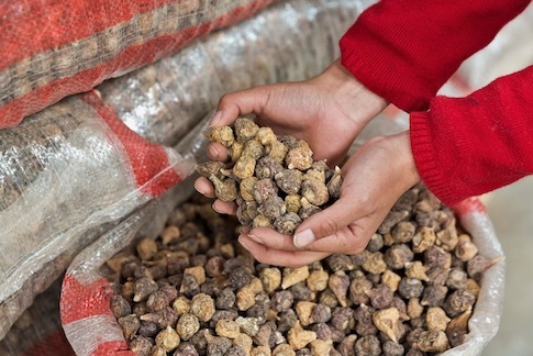 organic-peruvian-maca-from-themacateam.com.jpeg