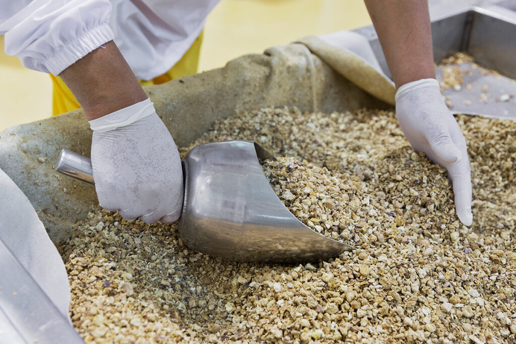 Maca processed in small batches