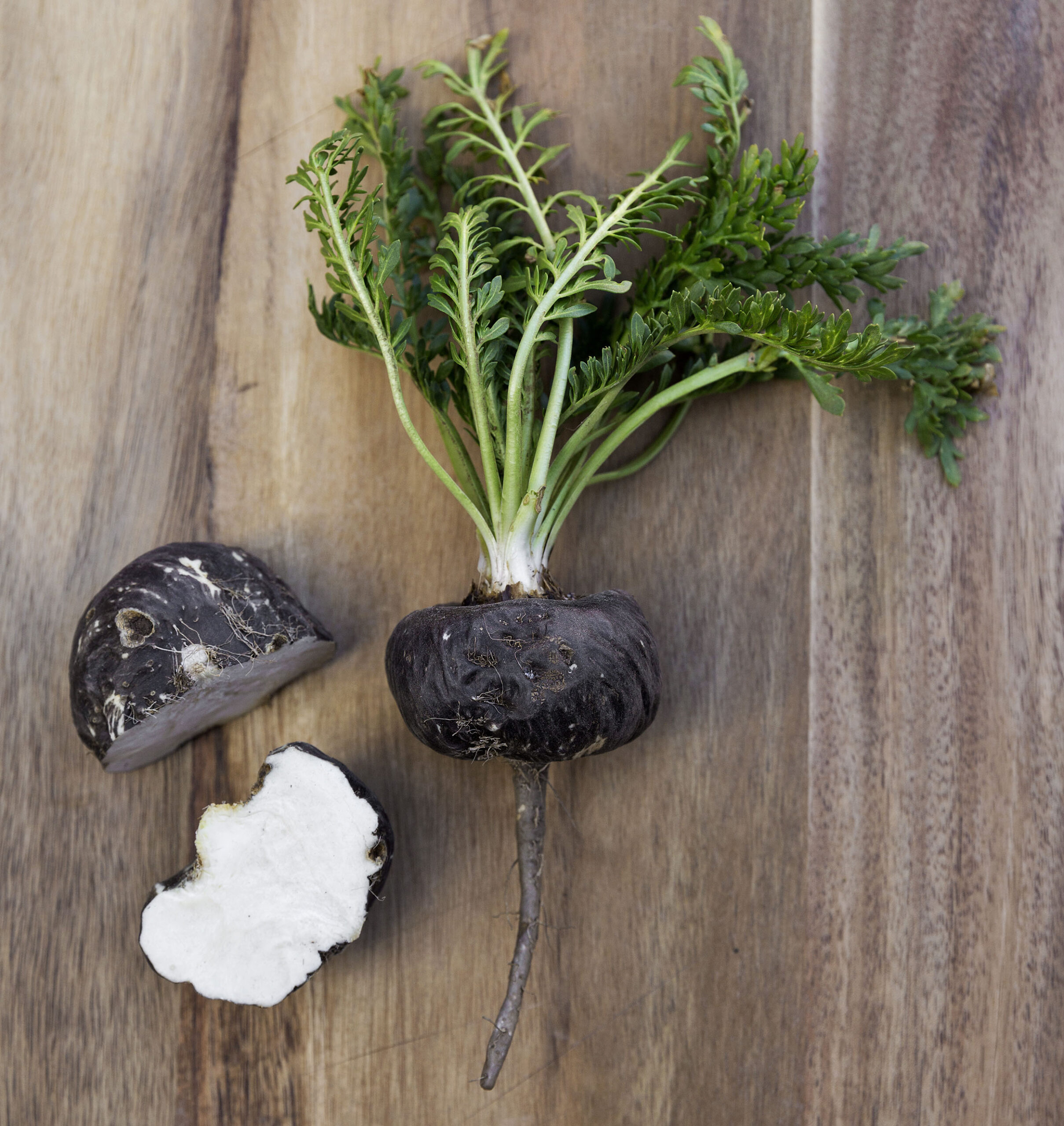 Black maca roots cut into pieces for Black Maca root chips