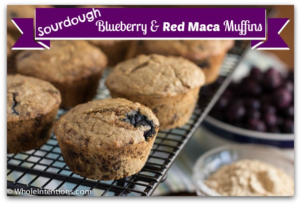 Sourdough blueberry muffins made with Red Maca powder