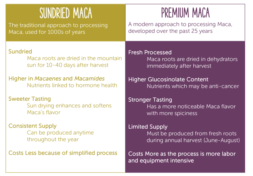 Premium and sundried maca processing compared
