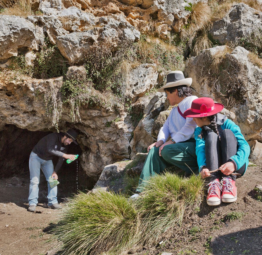 The Origin of Maca Root The origin of maca root in the high Andes of Peru