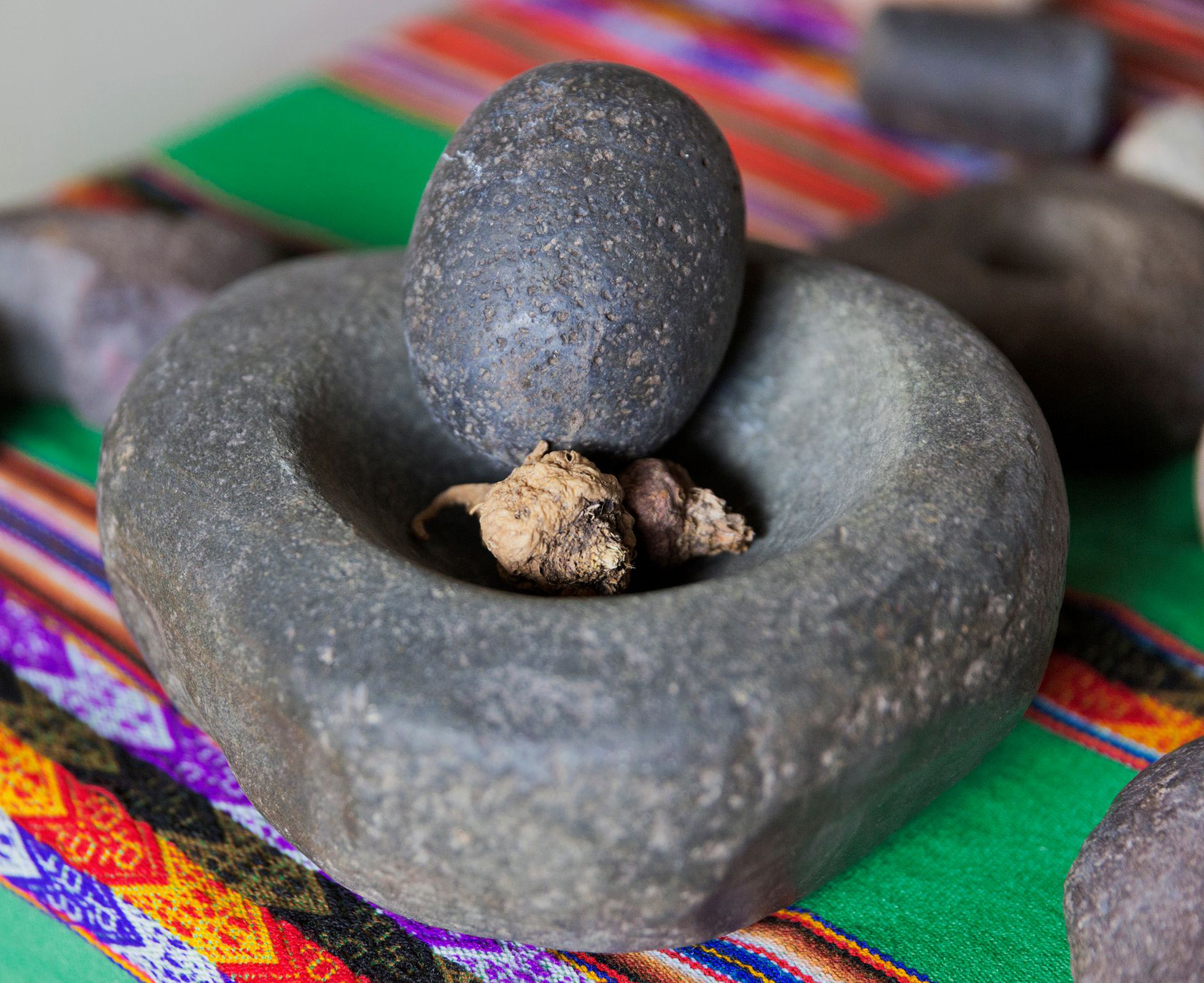 Traditional Maca Preparation Traditional tools used for preparing and grinding maca roots