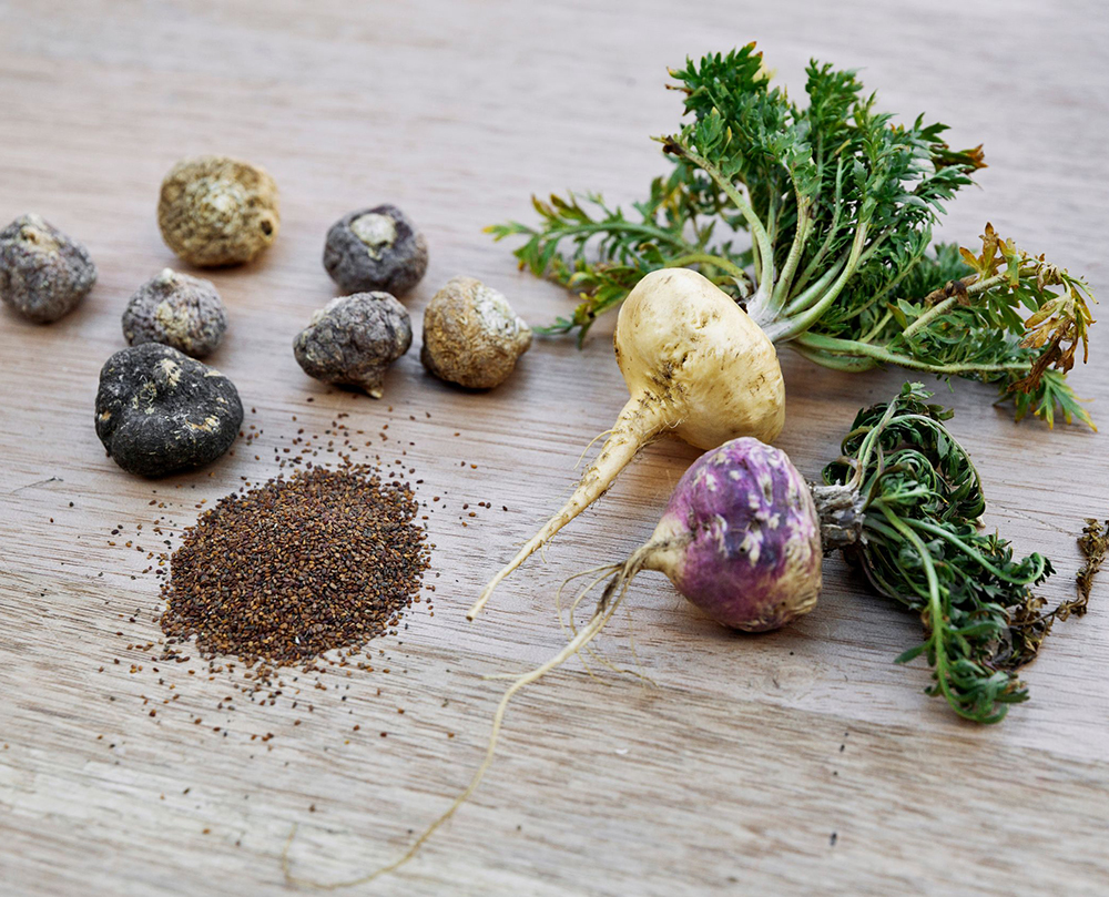 What to Do If You Take Too Much Maca What to do if you take too much maca
