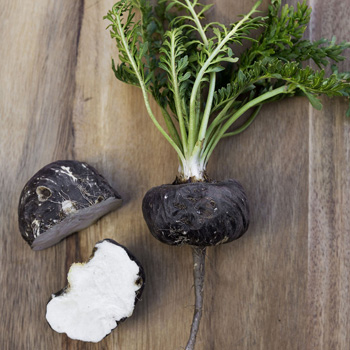 Black Maca Root Cut Open Black maca root cut open on a board showing dark outer skin and pale interior