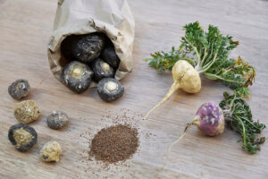 Who Is Maca Good For? Maca as part of a healthy daily wellness routine