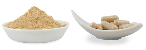 Gelatinized Tri-Color Maca Powder and Capsules Gelatinized Maca powder and capsules made from yellow red and black maca roots