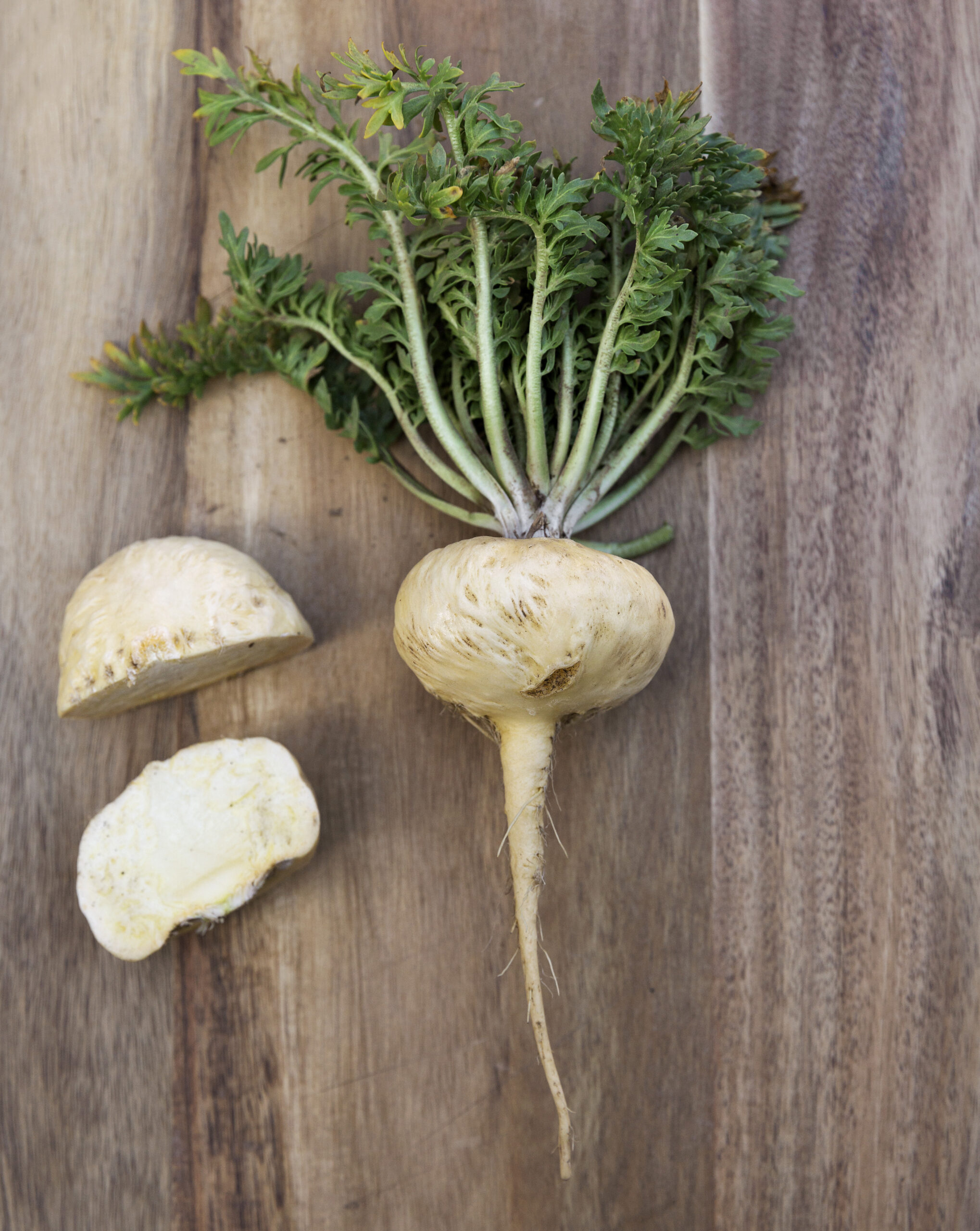 Fresh raw yellow maca roots from Peru