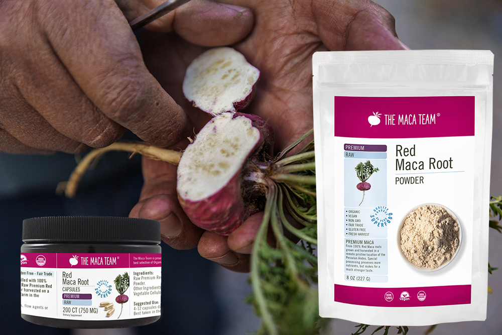 Premium Raw Red Maca Products Premium Raw Red Maca powder capsules and red maca root from The Maca Team