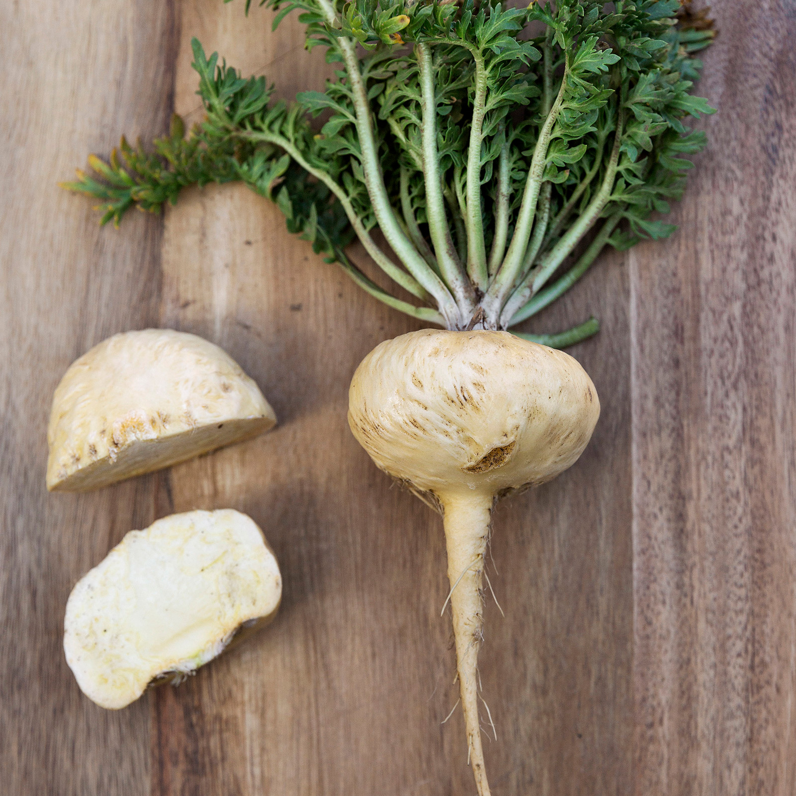 Fresh yellow maca roots from Peru