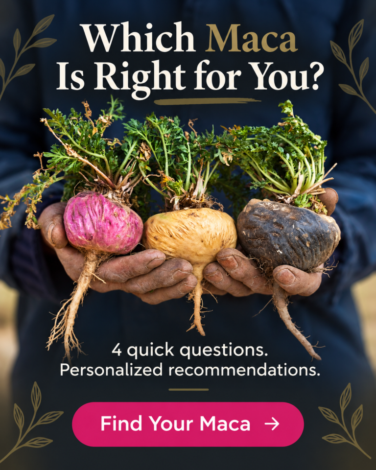 Which maca is right for you - The Maca Team